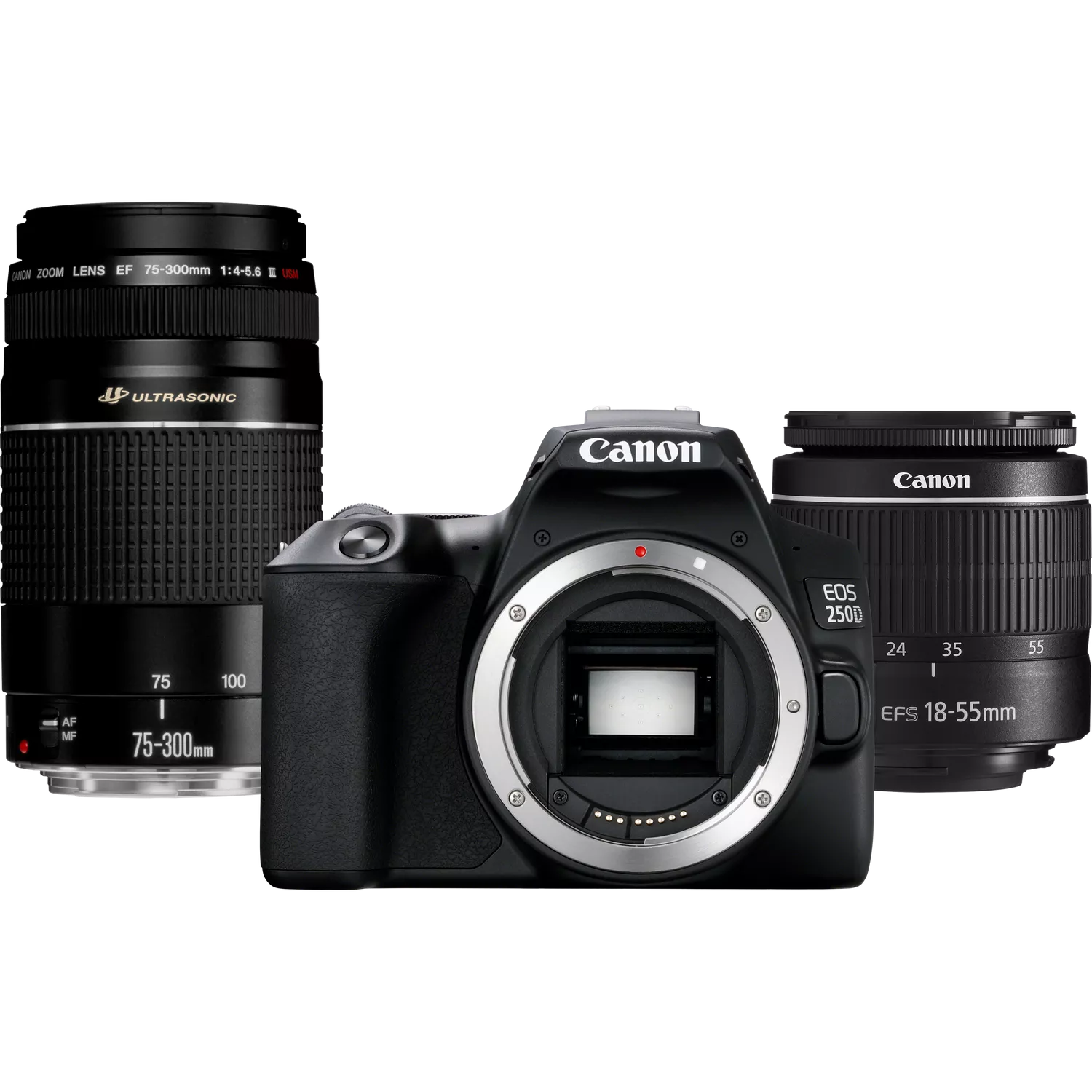 Canon EOS 250d, Black + EF-S 18-55mm F/3.5-5.6 III+ EF 75-300mm F/4-5.6 III Lens