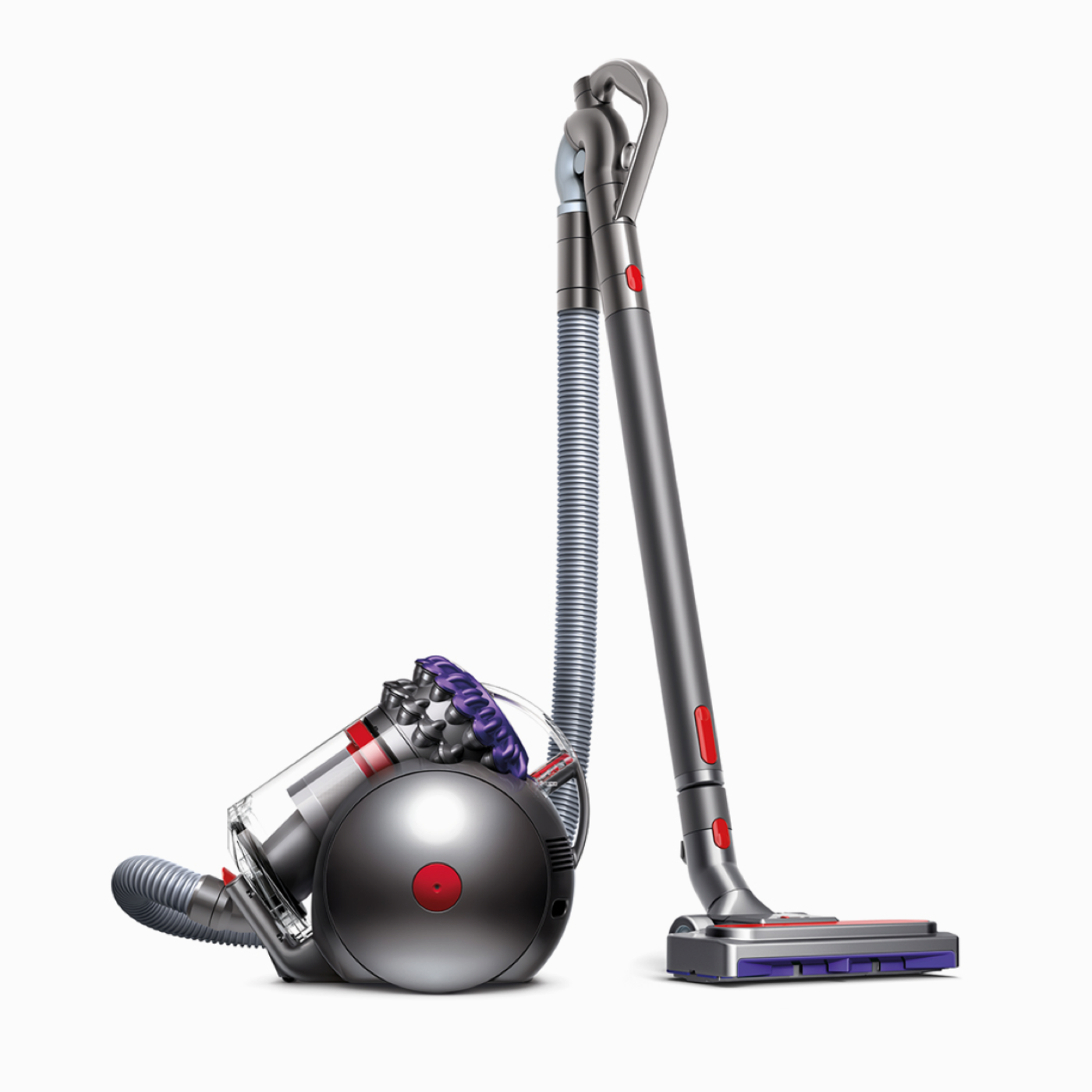 Dyson Big Ball Animal 2