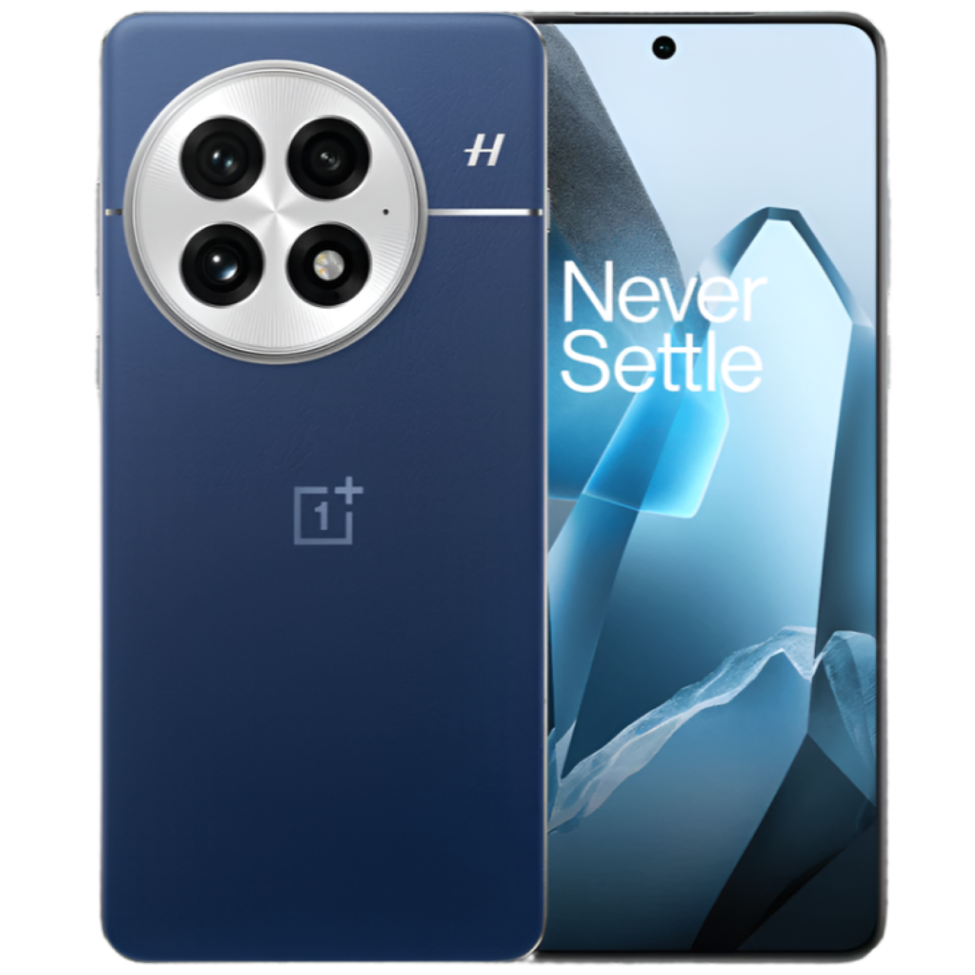 Oneplus 13 (China Global Version)