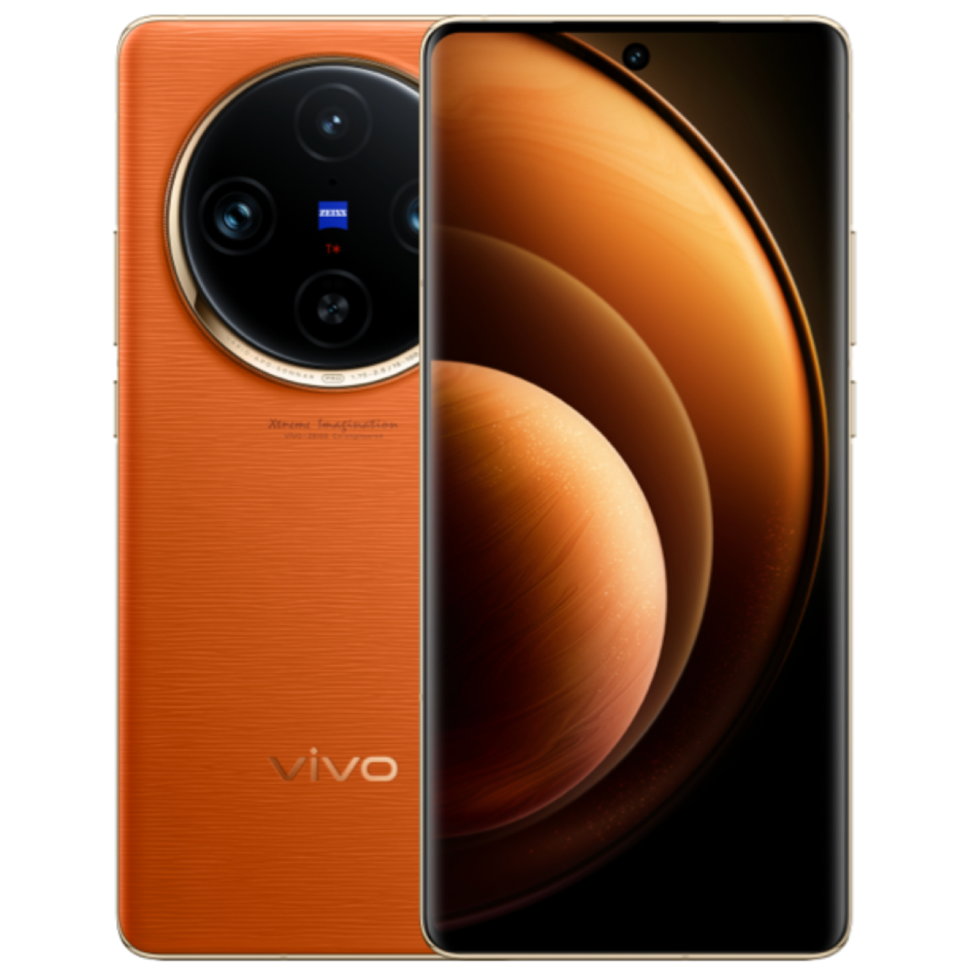 Vivo X100 Pro (China Global Version)