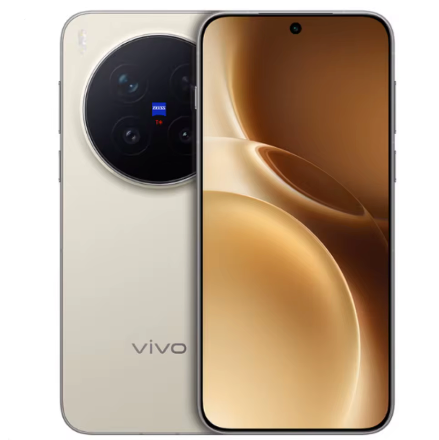 Vivo X300 Pro (China Global Version)
